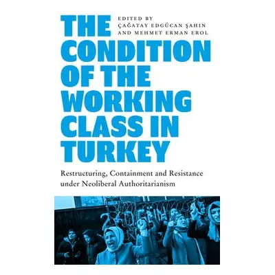 Condition of the Working Class in Turkey