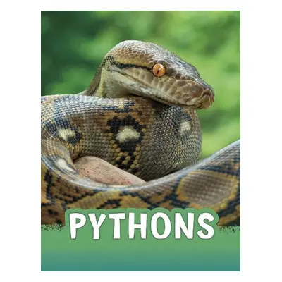 Pythons - Rustad, Martha E. H.