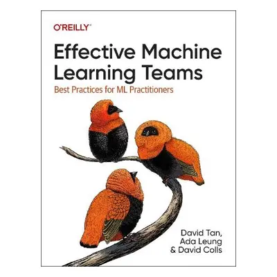 Effective Machine Learning Teams - Tan, David a Leung, Ada a Colls, David