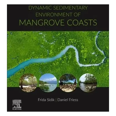 Dynamic Sedimentary Environments of Mangrove Coasts