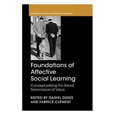 Foundations of Affective Social Learning