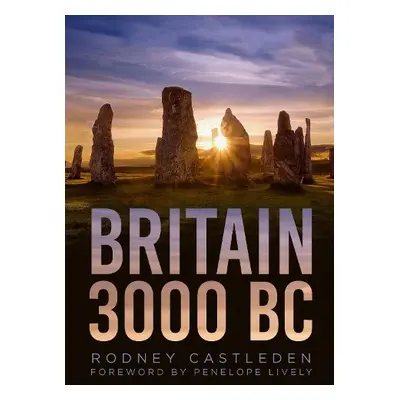 Britain 3000 BC - Castleden, Rodney