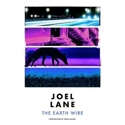 Earth Wire - Lane, Joel