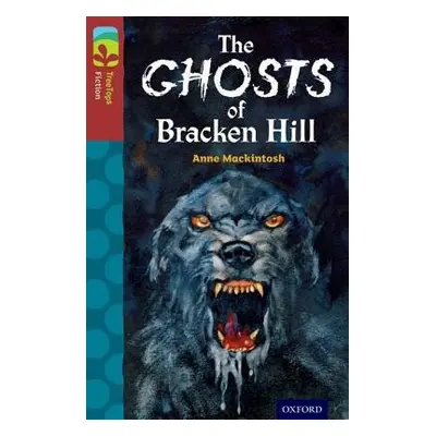 Oxford Reading Tree TreeTops Fiction: Level 15: The Ghosts of Bracken Hill - Mackintosh, Anne