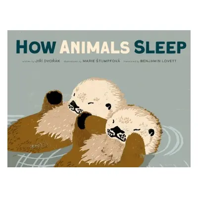 How Animals Sleep - Dvorak, Jiri