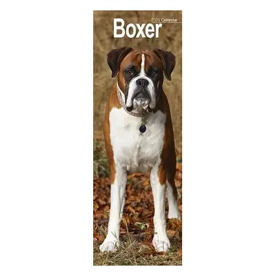 Boxer Slim Calendar 2025 Dog Breed Slimline Calendar - 12 Month