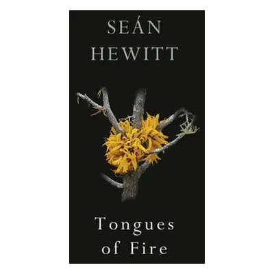 Tongues of Fire - Hewitt, Sean