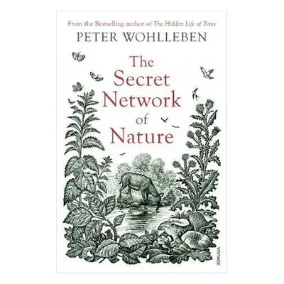 Secret Network of Nature - Wohlleben, Peter