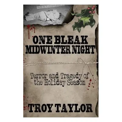 One Bleak Midwinter Night - Taylor, Troy