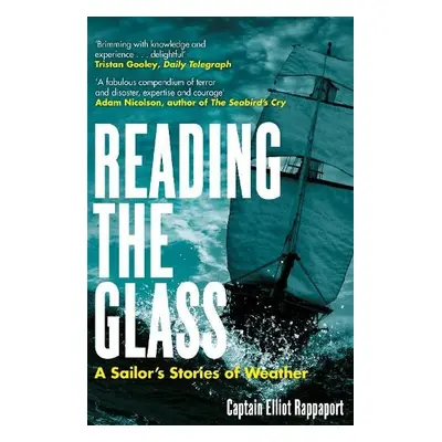 Reading the Glass - Rappaport, Elliot