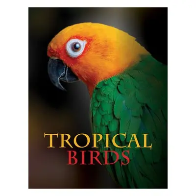 Tropical Birds - Jackson, Tom