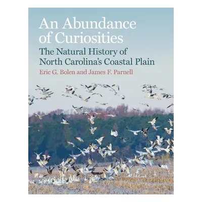 Abundance of Curiosities - Bolen, Eric G. a Parnell, James F. a Earnhardt, Tom