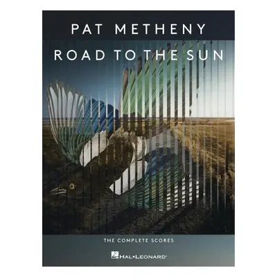 Pat Metheny - Road to the Sun