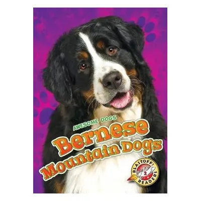 Bernese Mountain Dogs - Sabelko, Rebecca