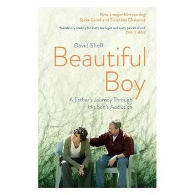 Beautiful Boy - Sheff, David