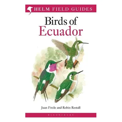 Birds of Ecuador - Restall, Robin a Freile, Juan