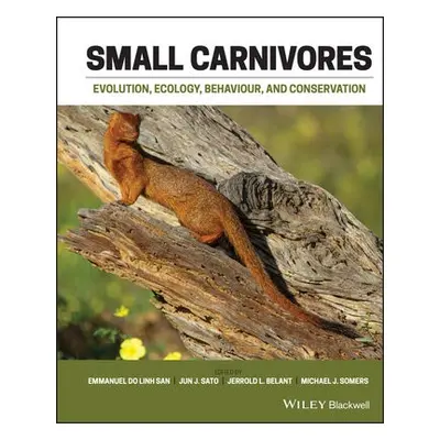 Small Carnivores