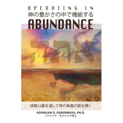 Operating in Abundance (Japanese Edition) - Ogbonnaya Ph D, Adonijah O