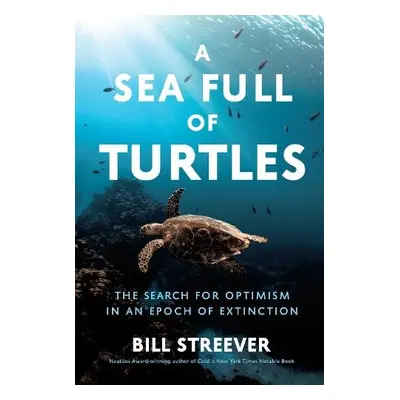 Sea Full of Turtles - Streever, Bill