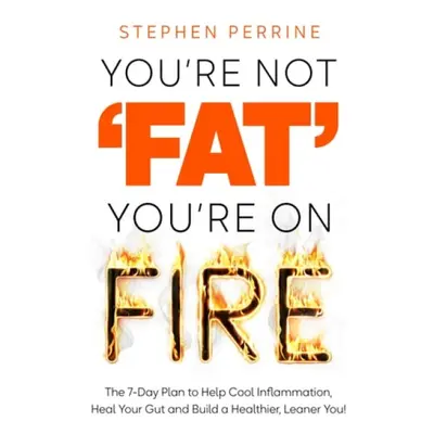 You're Not 'Fat', You're On Fire - Perrine, Stephen