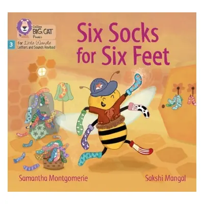 Six Socks for Six Feet - Montgomerie, Samantha