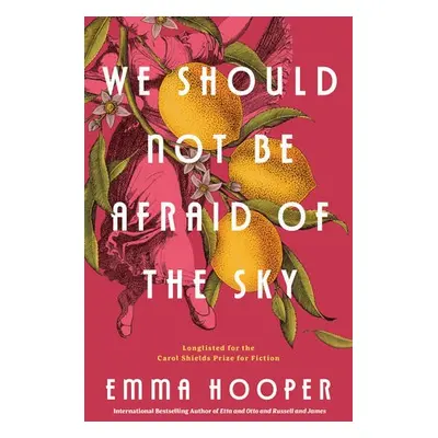 We Should Not Be Afraid of the Sky - Hooper, Emma