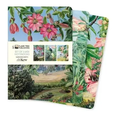 Kew Gardens: Marianne North Set of 3 Midi Notebooks