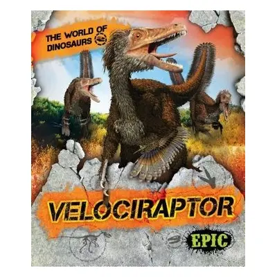 Velociraptor - Sabelko, Rebecca