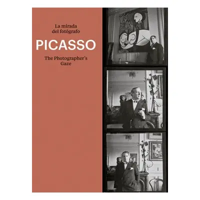 Picasso: The Photographer's Gaze