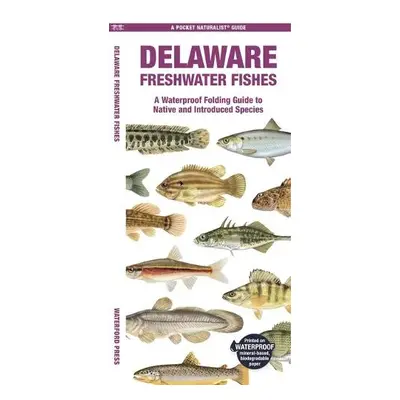 Delaware Freshwater Fishes - Morris, Matthew, Waterford Press