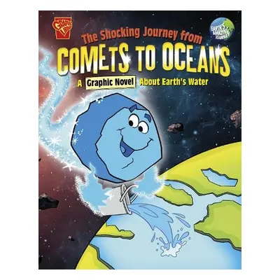 Shocking Journey from Comets to Oceans - Hoena, Blake