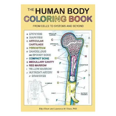 Human Body Coloring Book - Coloring Concepts Inc.