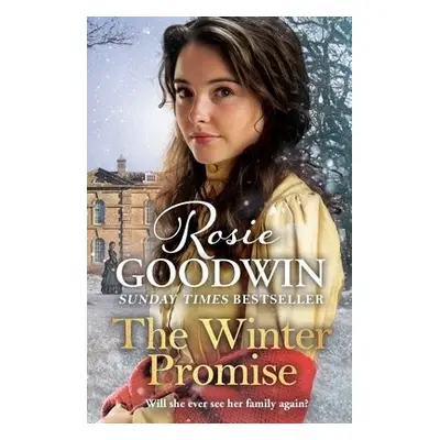 Winter Promise - Goodwin, Rosie