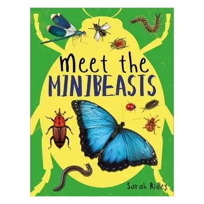 Meet the Minibeasts - Ridley, Sarah