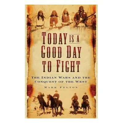 Today is a Good Day to Fight - Felton, Dr Mark