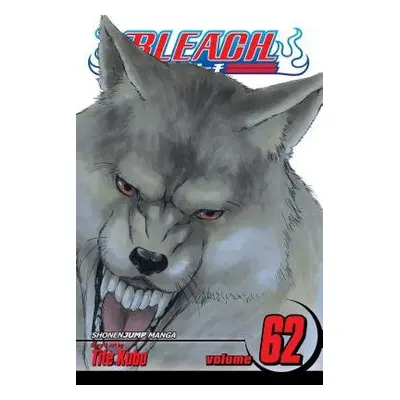 Bleach, Vol. 62 - Kubo, Tite