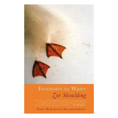 Footnotes to Water - Skoulding, Zoe