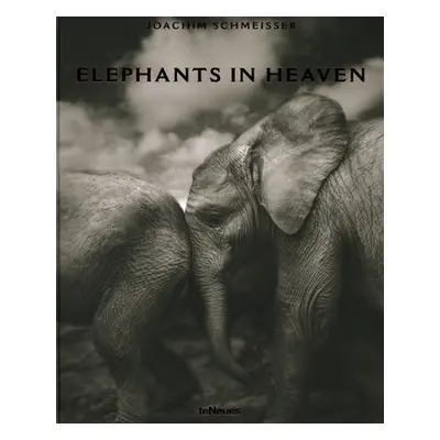 Elephants in Heaven - Schmeisser, Joachim