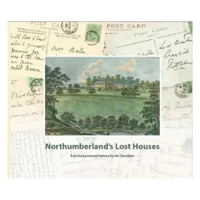 Northumberland's Lost Houses - Davidson, Jim