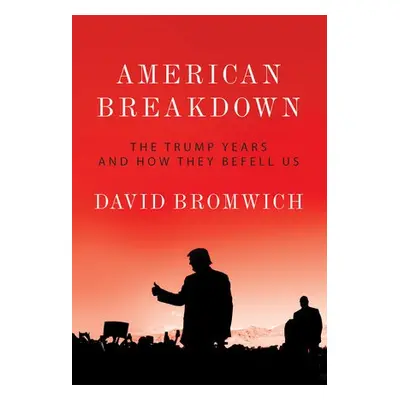 American Breakdown - Bromwich, David