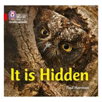 It is Hidden - Harrison, Paul