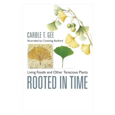 Rooted in Time - Gee, Carole T. (Associate Professor of Paleontology, University of Bonn)