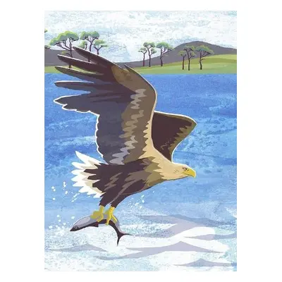 Nature Notebook: Sea Eagle