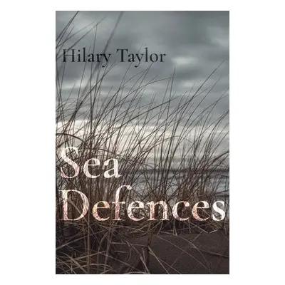 Sea Defences - Taylor, Hilary