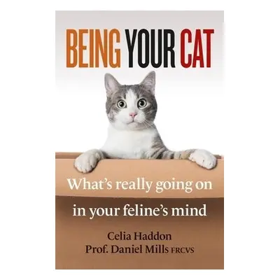 Being Your Cat - Haddon, Celia a FRCVS, Dr Daniel Mills,