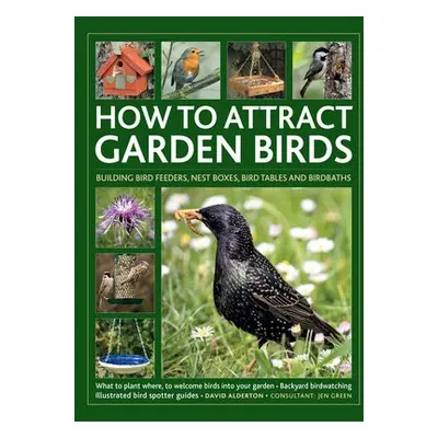 How to Attract Garden Birds - Alderton, David