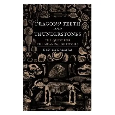 Dragons' Teeth and Thunderstones - McNamara, Kenneth J.