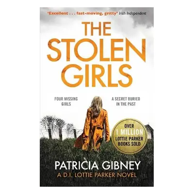 Stolen Girls - Gibney, Patricia