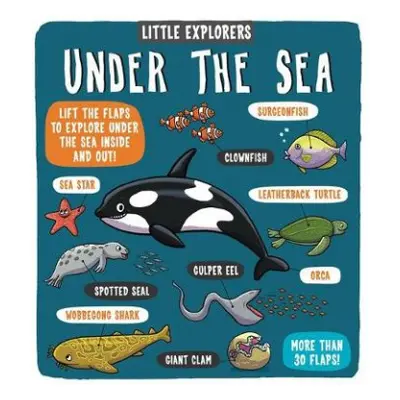 Little Explorers: Under the Sea - Ltd., Dynamo