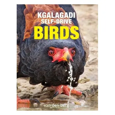 Kgalagadi Self-Drive Birds - van den Berg, Philip a van den Berg, Ingrid